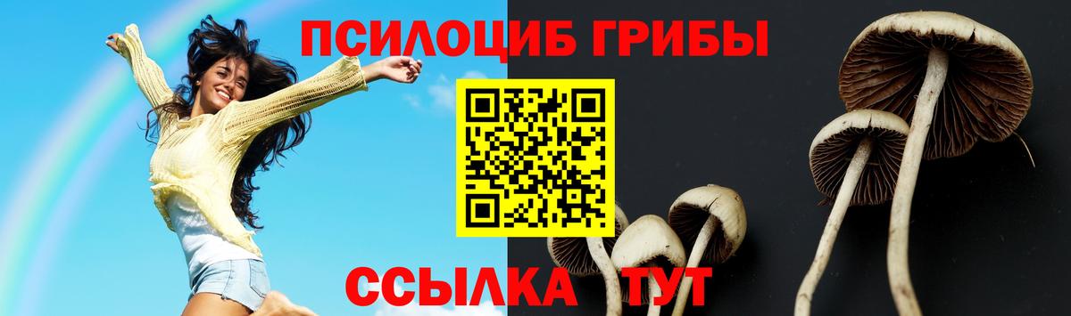Галлюциногенные грибы Magic Shrooms Великие Луки